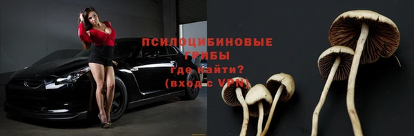 твердый Покров