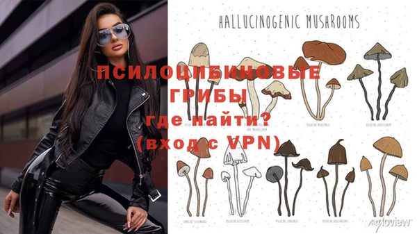 ГАЛЛЮЦИНОГЕННЫЕ ГРИБЫ Ветлуга