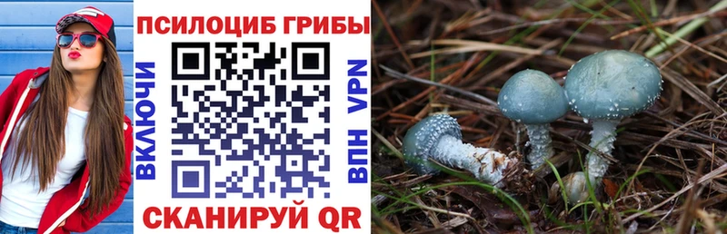 где купить наркоту  Аксай  Галлюциногенные грибы прущие грибы 
